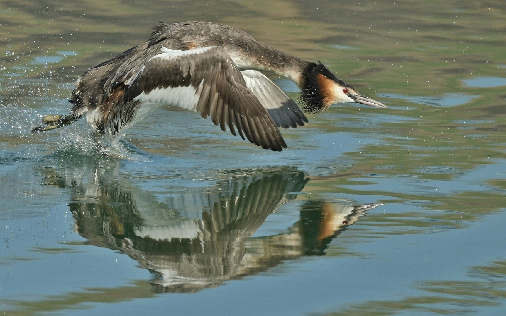 Vorgeplänkel