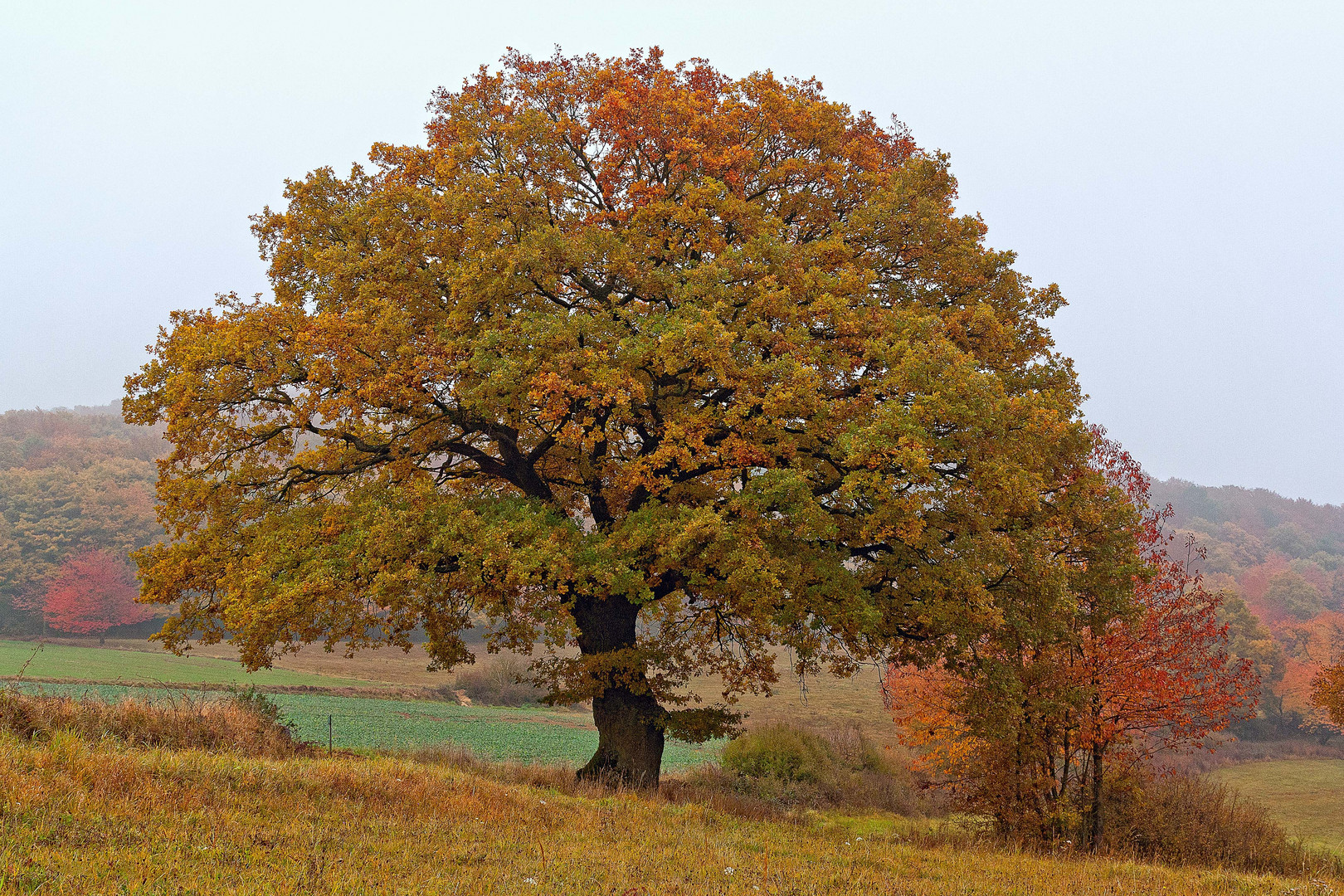 Vorgeschmack auf den November