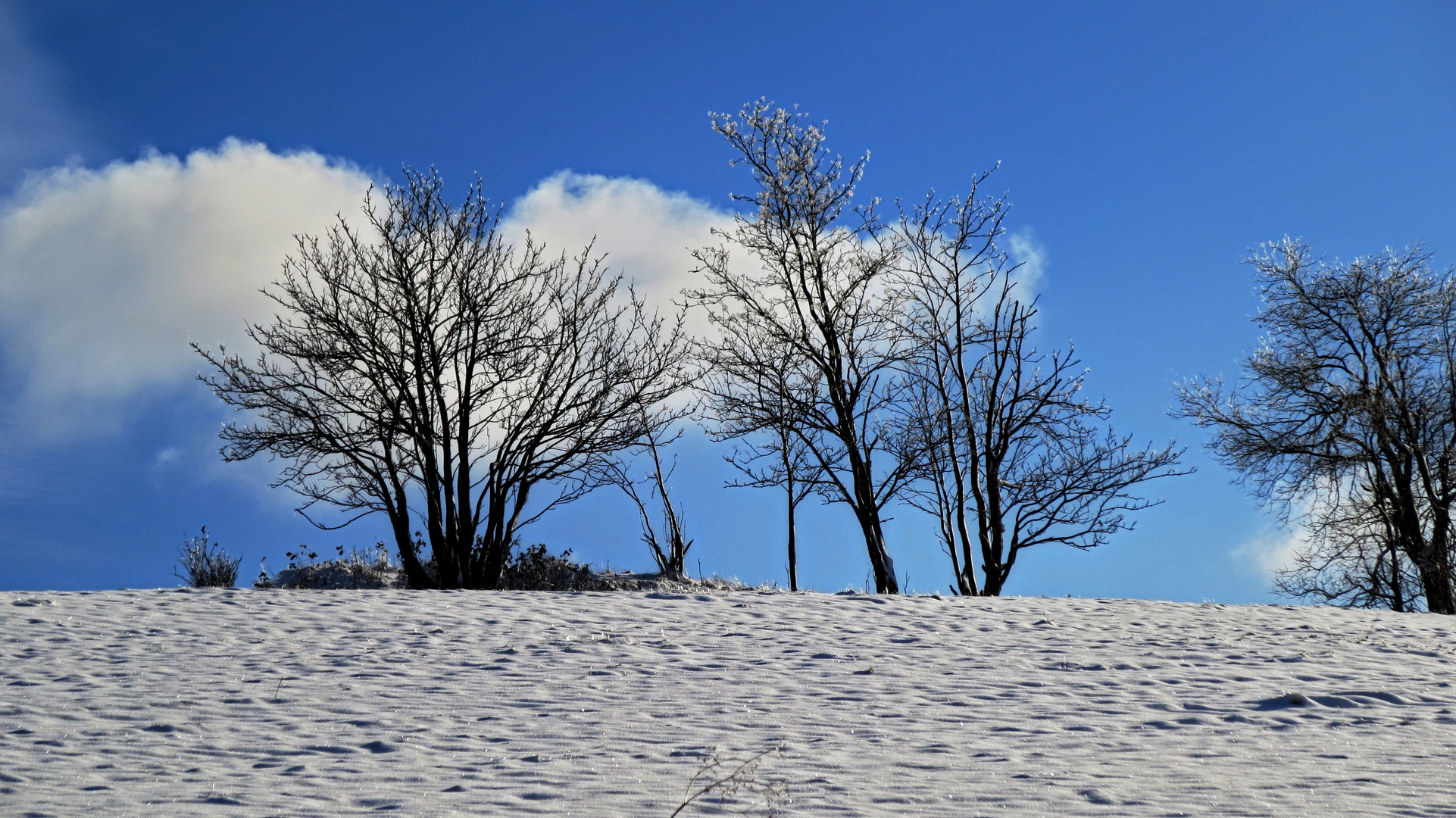 Vorgeschmack auf den Winter