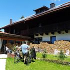 Vorgesorgt für den Winter... oder viel Holz vor der Hütte....:-))