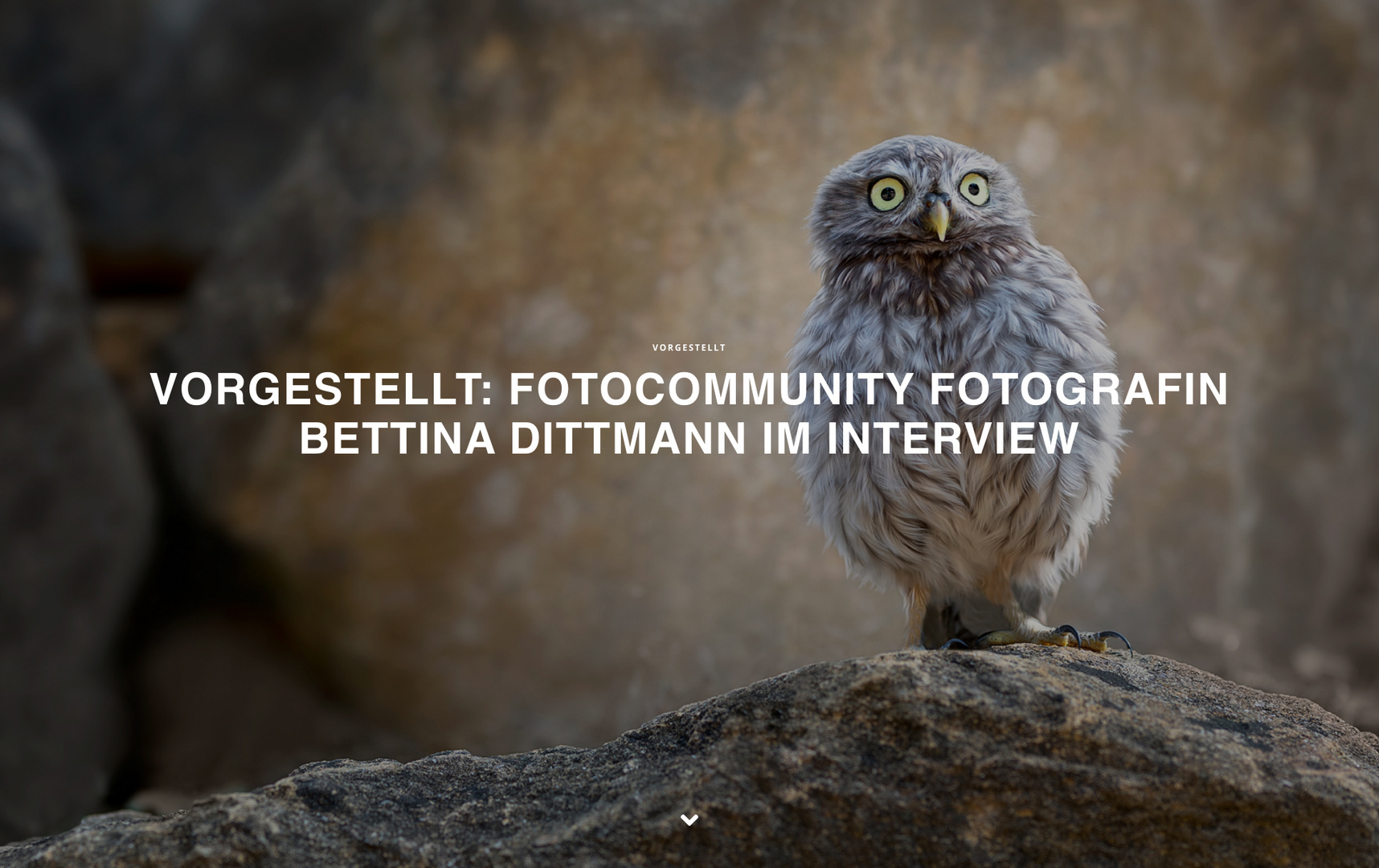 Vorgestellt: fotocommunity Fotografin Bettina Dittmann im Interview