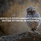 Vorgestellt: fotocommunity Fotografin Bettina Dittmann im Interview