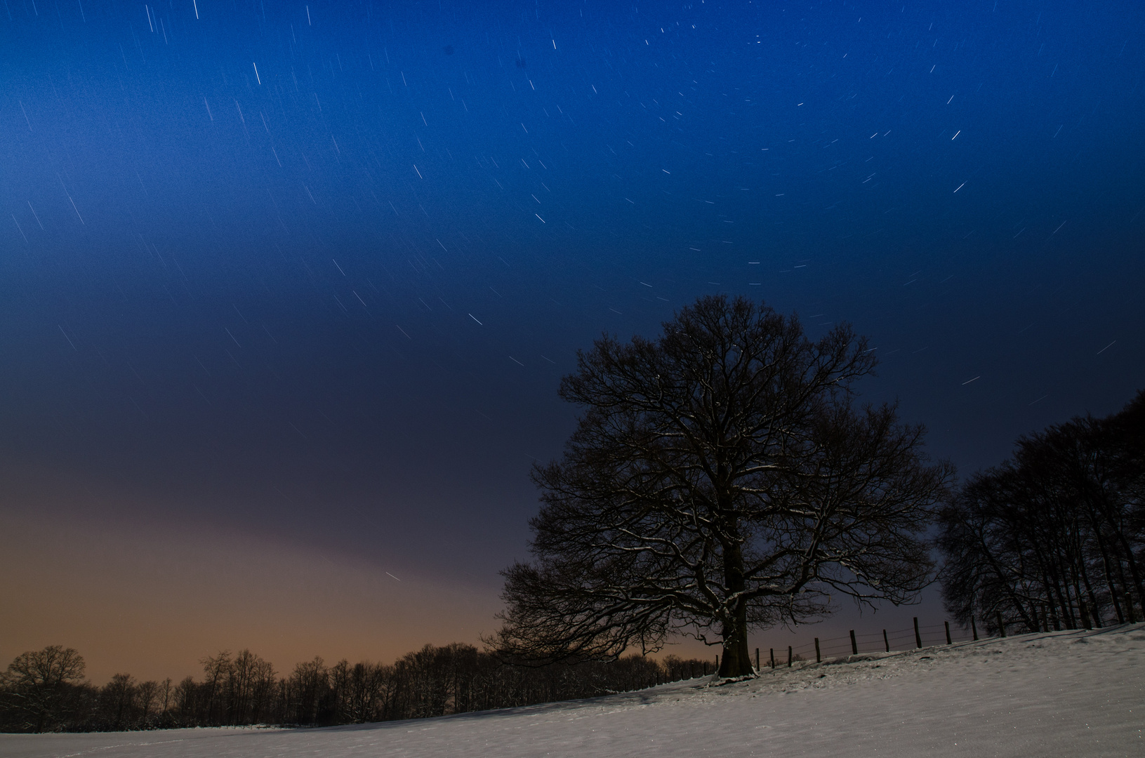 vorgestern bei Vollmond