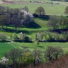 (Vor)gestern in der Eifel 3 .....