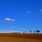 Vorgestern war der Himmel noch blau ....