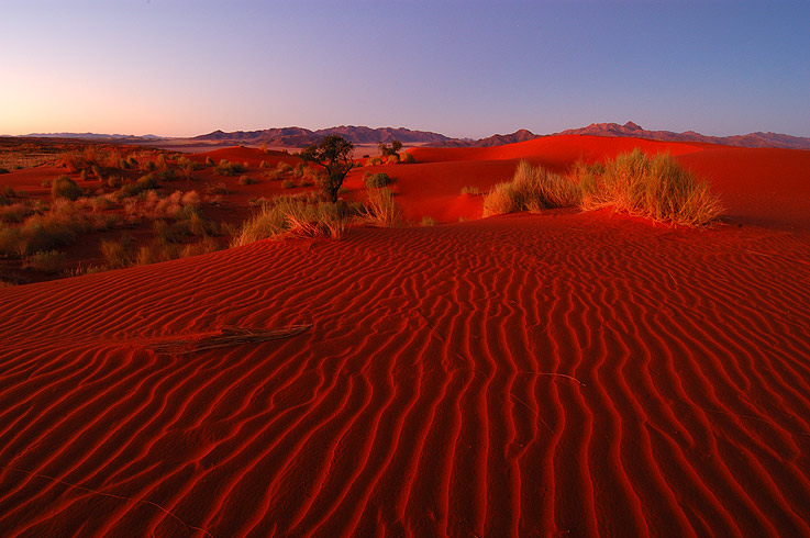 Vorglühen in der Namib