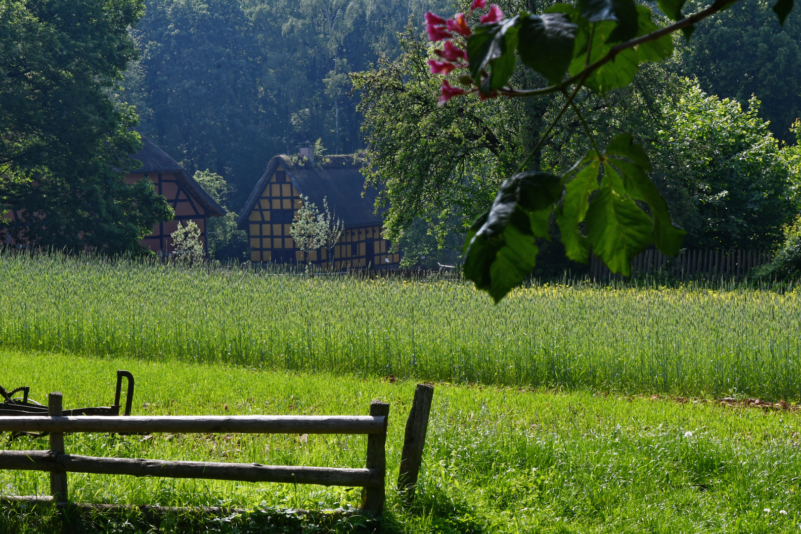 Vorgriff auf den Frühling