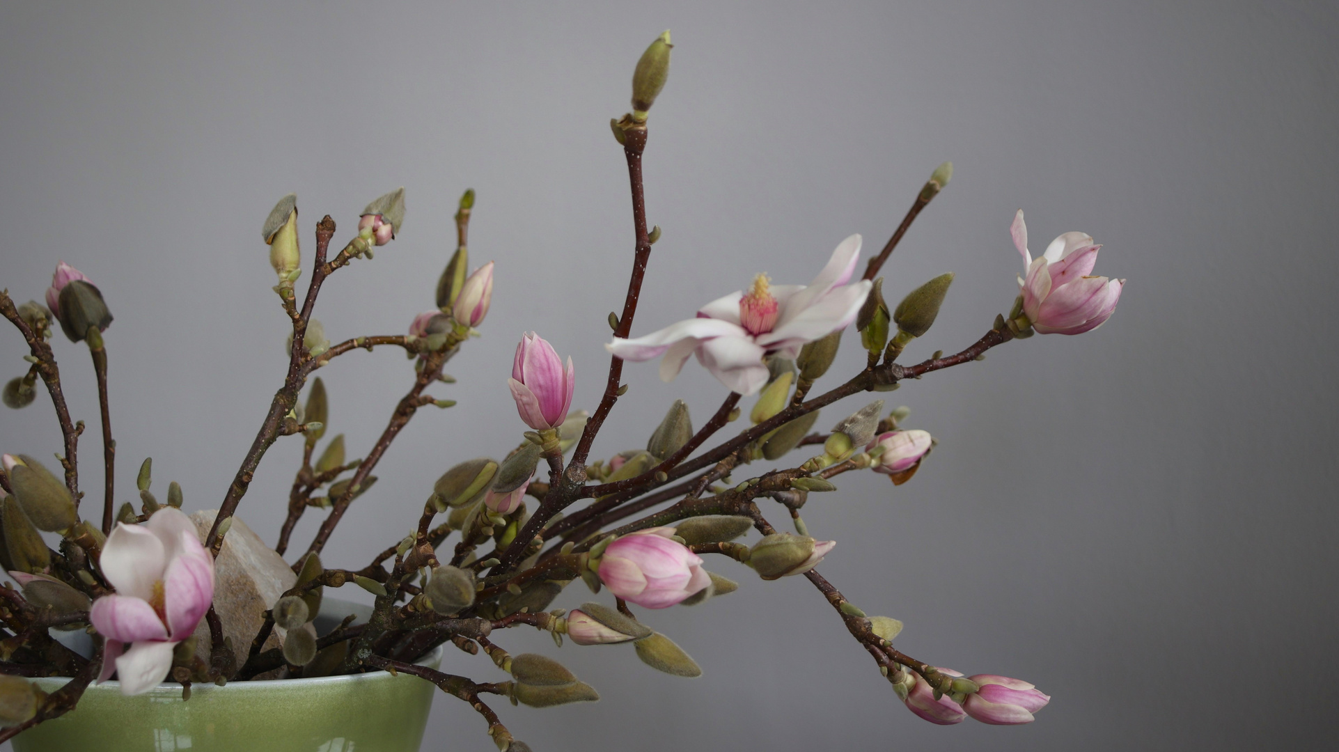 Vorgriff auf den Frühling