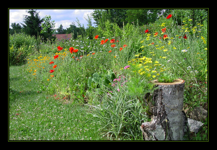 Vorgriff auf den Sommer