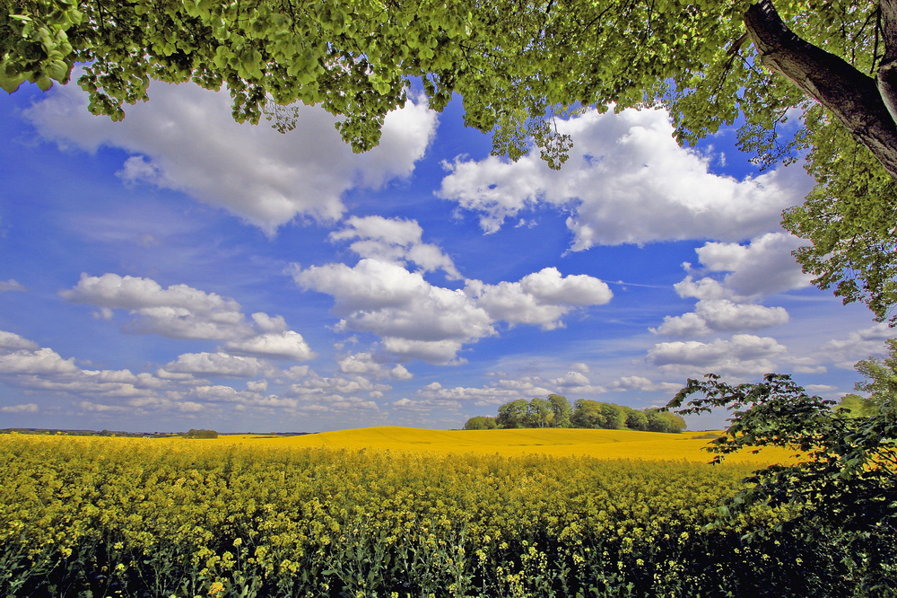 Vorhang auf, - die Bühne des Sommers