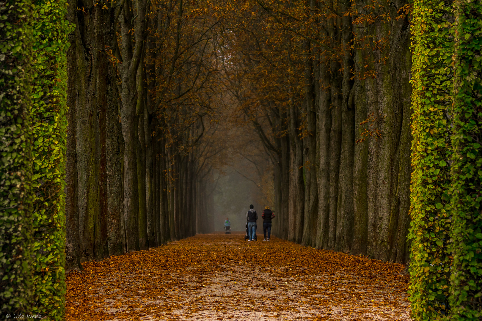 Vorhang auf für den Herbst