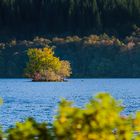 Vorhang auf für den Herbst - I