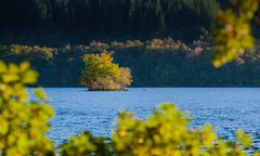 Vorhang auf für den Herbst - I