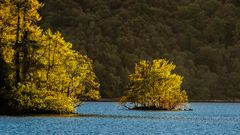 Vorhang auf für den Herbst - II