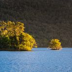 Vorhang auf für den Herbst - III