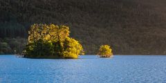 Vorhang auf für den Herbst - III