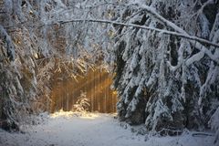 Vorhang auf: Weihnachten !