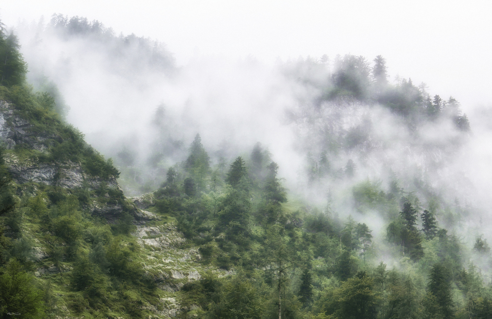 Vorhang Aus Nebel Foto & Bild