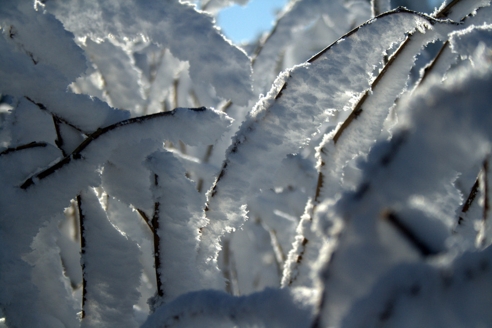 Vorhang aus Schnee