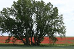 Vorharz - Landschaft