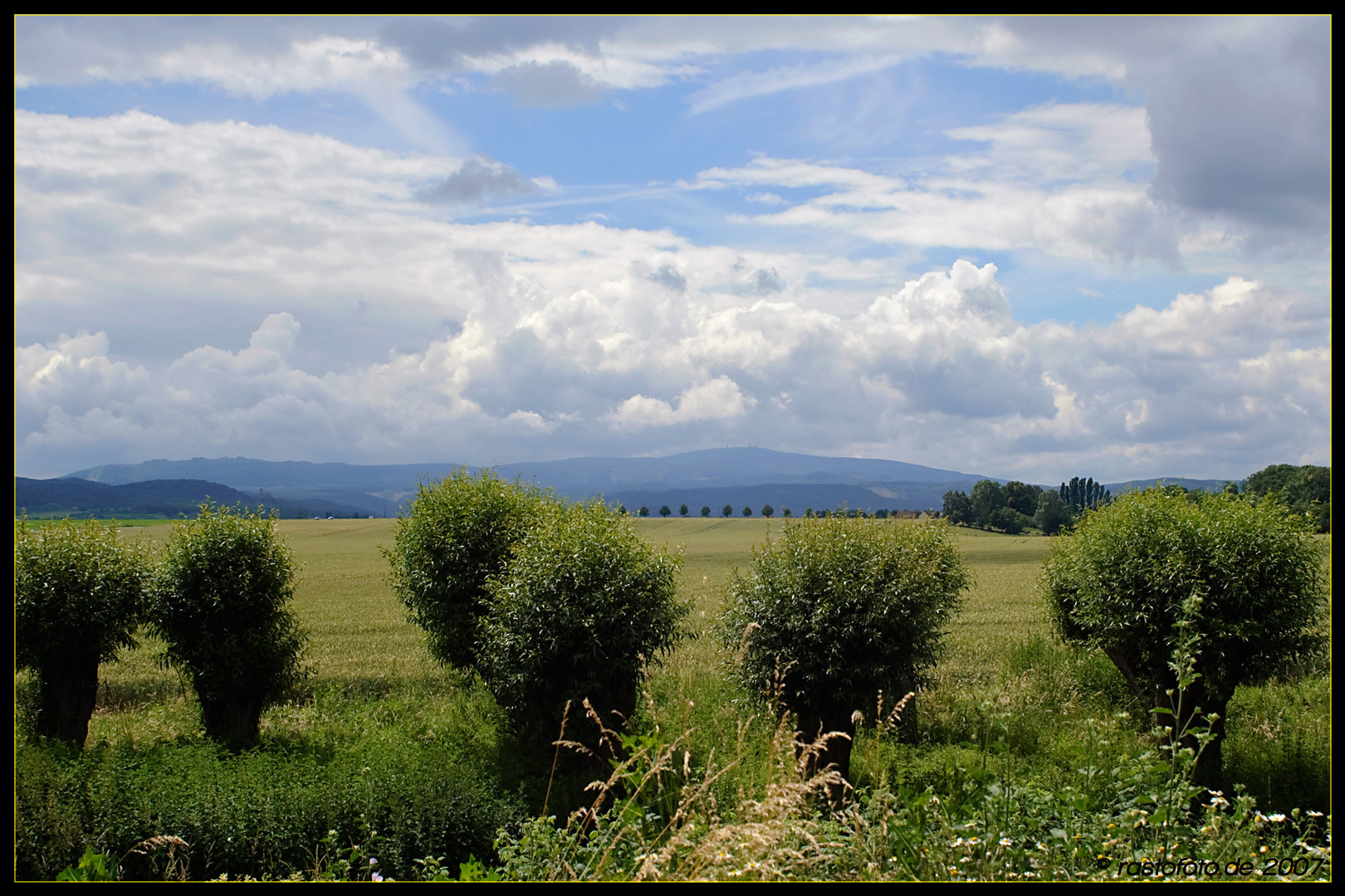 Vorharz mit Blick auf den Brocken