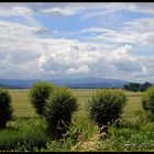 Vorharz mit Blick auf den Brocken