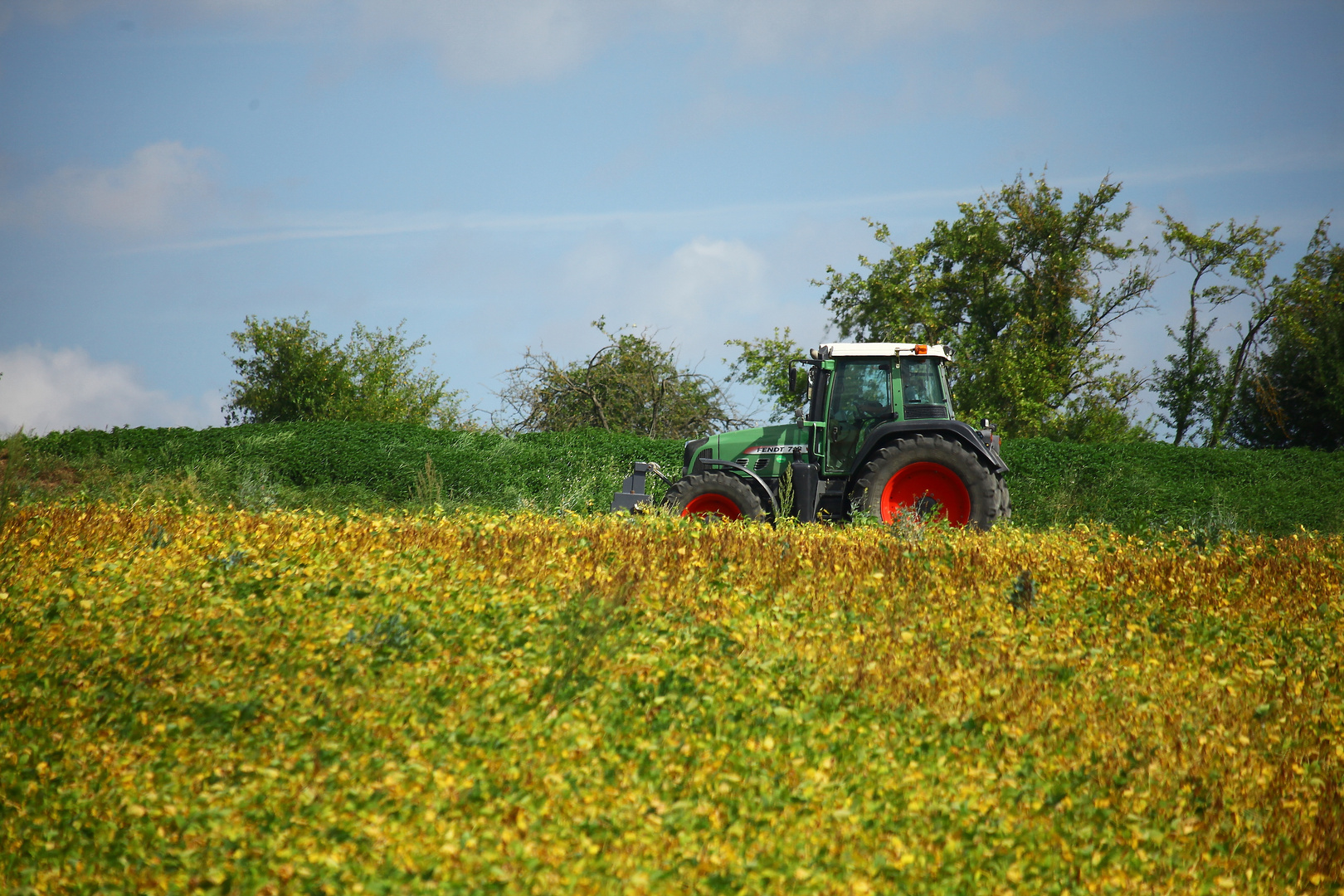 vorherbstliche arbeiten