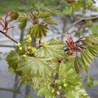 vorherbstliches Motiv aus dem Archiv