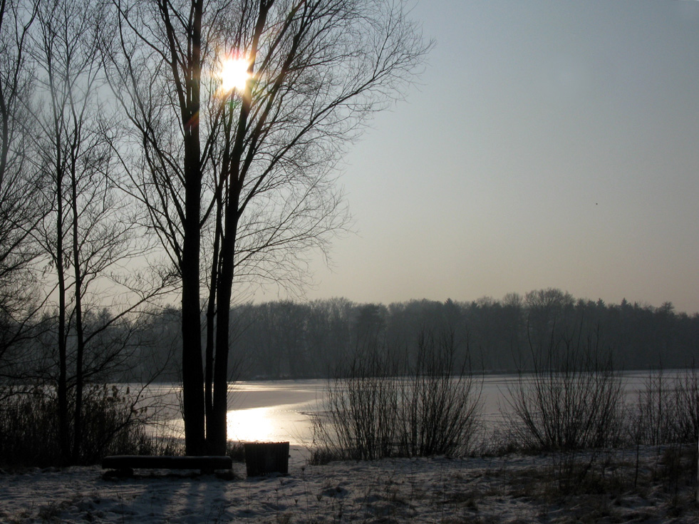 Vorhin am Bornbruchsee