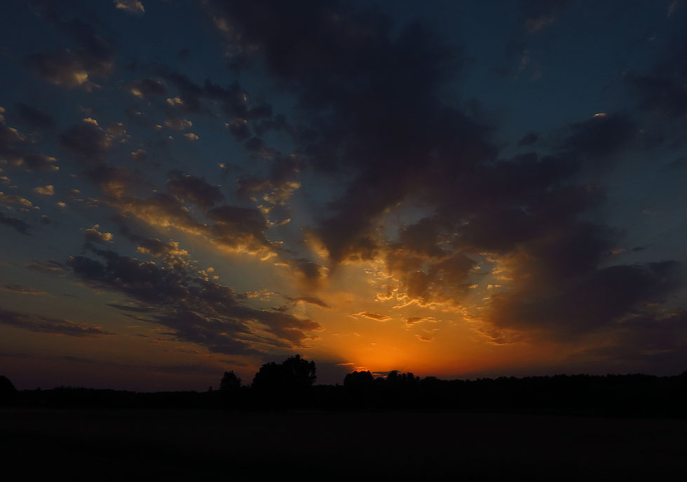 vorhin auf dem Heimweg