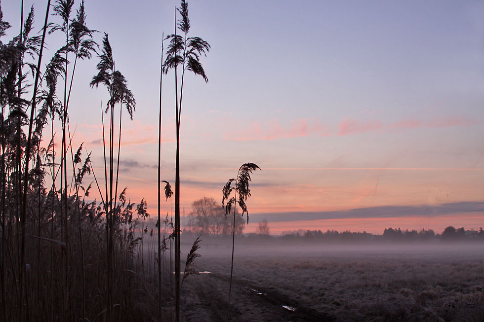 Vorhin etwas Sonnenuntergang mit Bodennebel