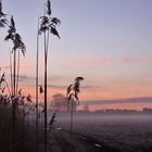 Vorhin etwas Sonnenuntergang mit Bodennebel