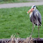 vorhin im Botanischen Garten