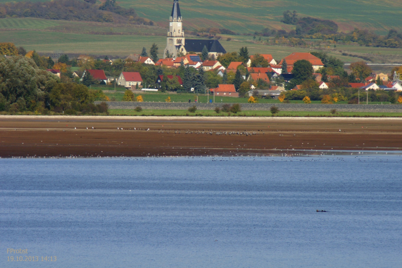 Vorigen Sa.2, 32 Tausend Kraniche am Helmestausee