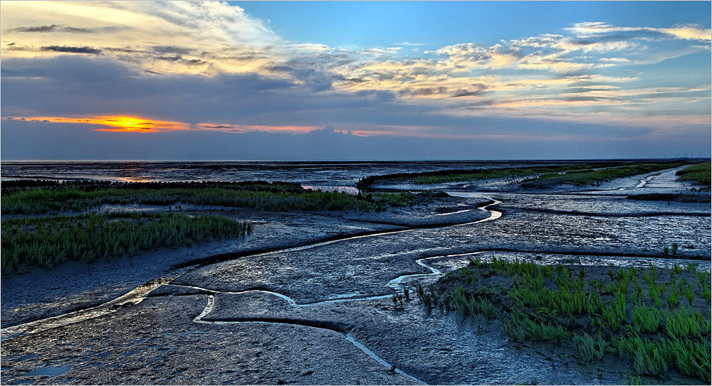 Vorland bei Galmsbüllkoog/Nordfriesland (3)