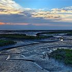 Vorland bei Galmsbüllkoog/Nordfriesland (3)