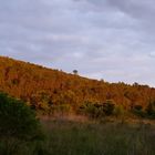 Vorland der Cevennen bei Quissac-Abendsonne