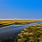 Vorland St. Peter-Ording