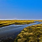 Vorland St. Peter-Ording