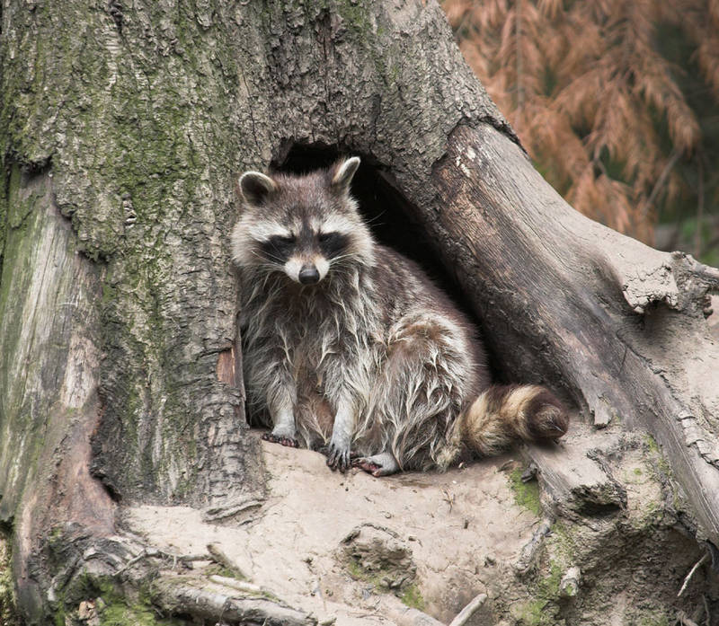 Vorm Baum sitzts sich am Besten