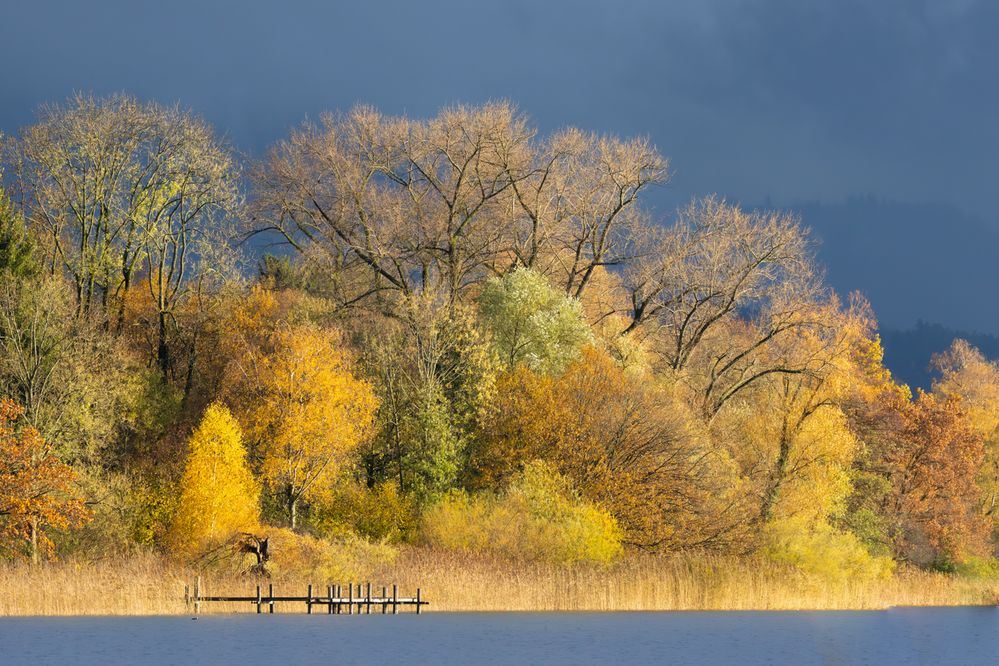 vor'm grossen Regen