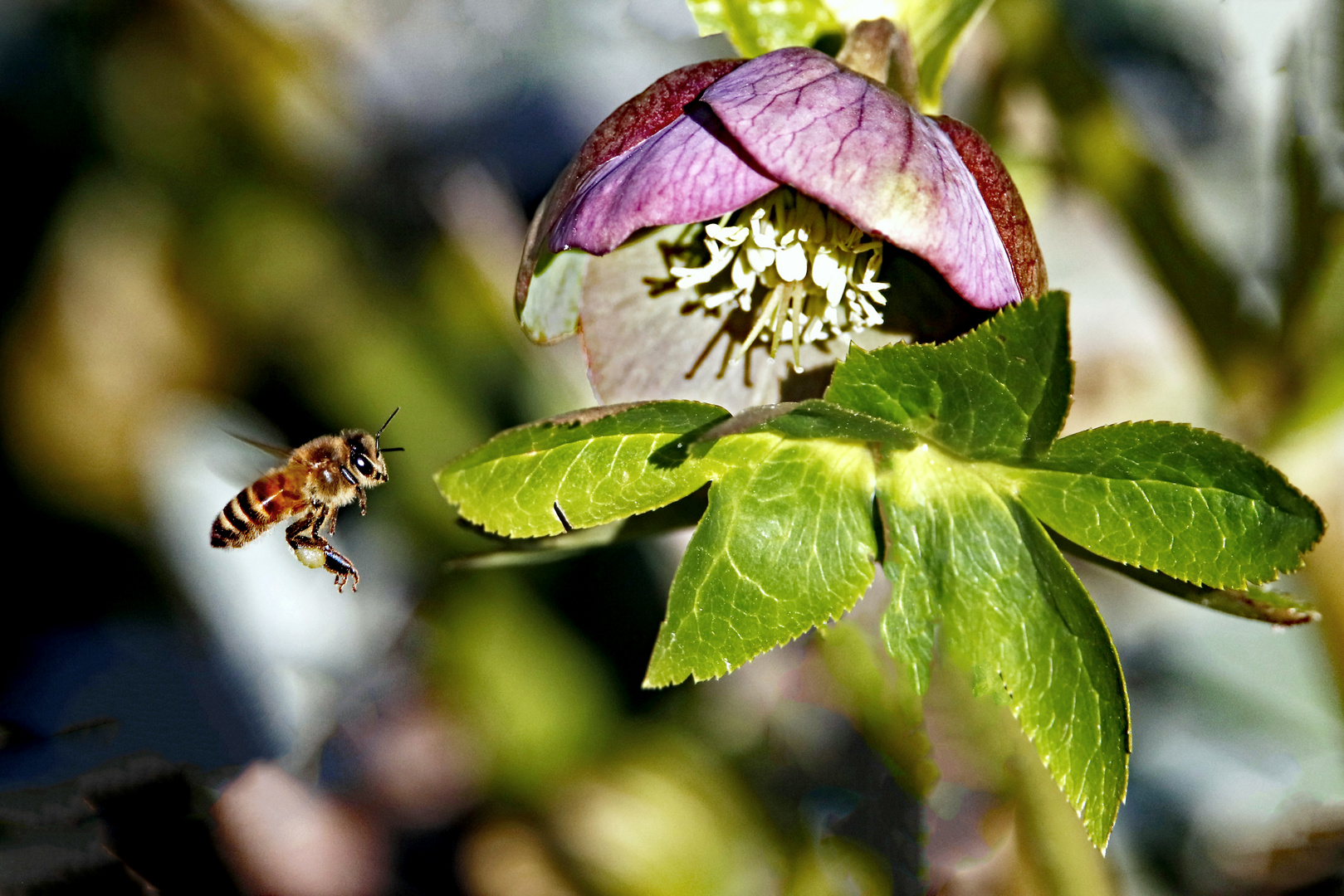 Vorm Landeanflug