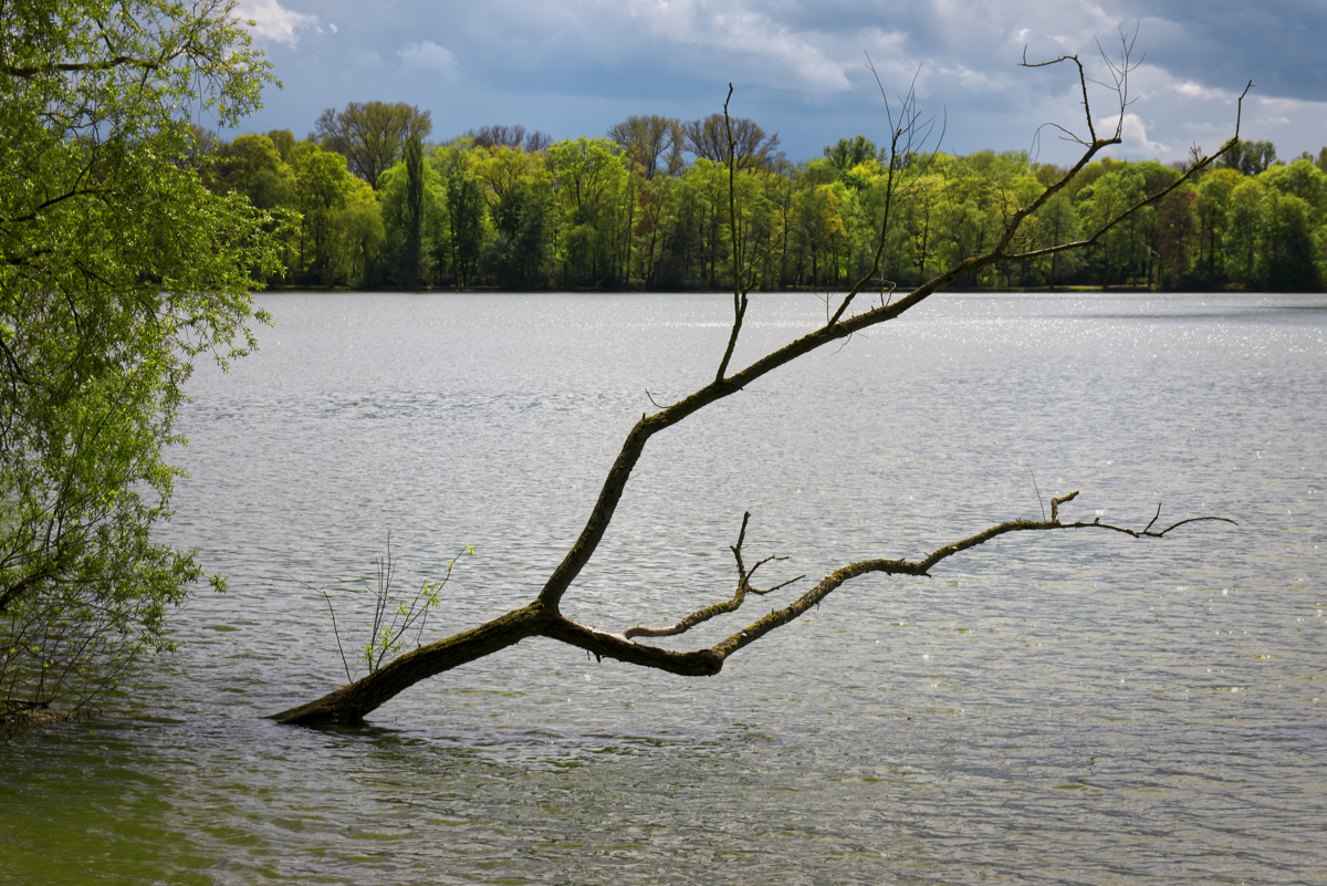 VORM REGEN...