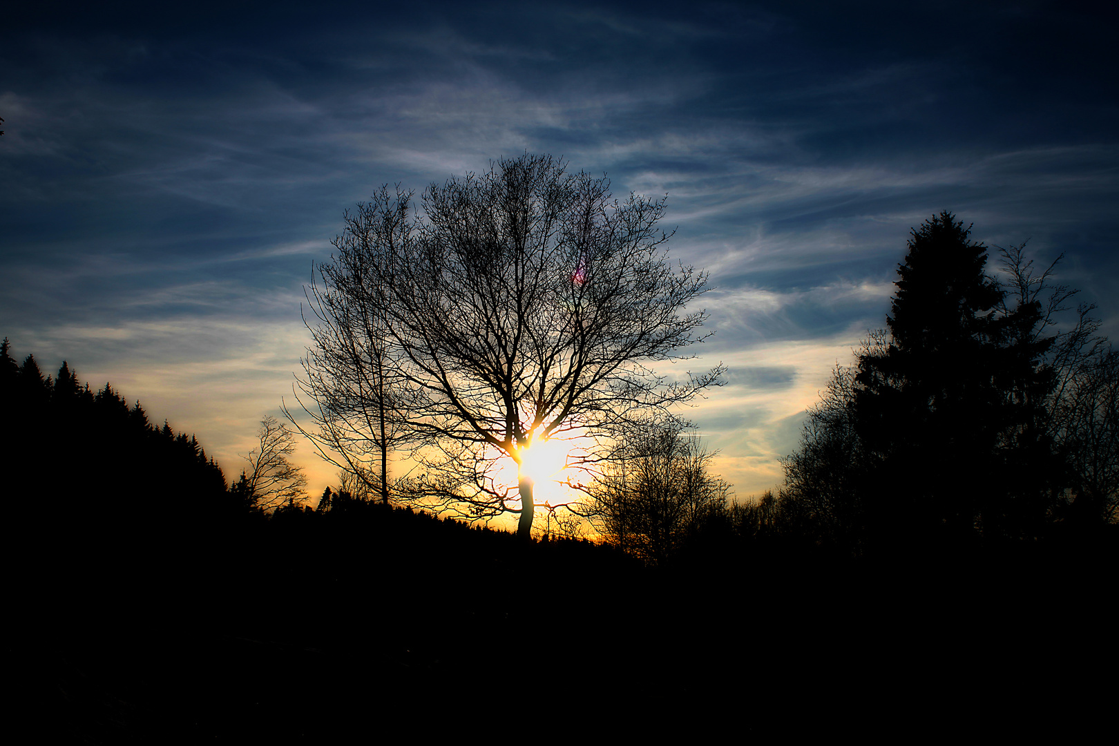 Vor´m untergeh´n nen Baum zerscheiden