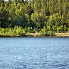 Vorm Wald kommt ein Fluss