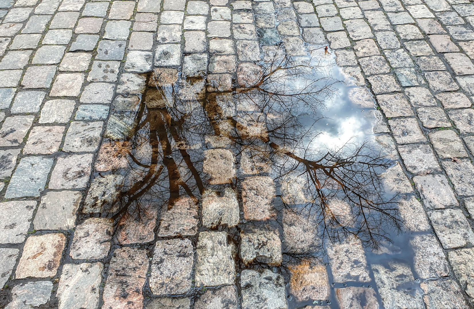 Vormals heißes Pflaster neu bepflanzt und bewässert