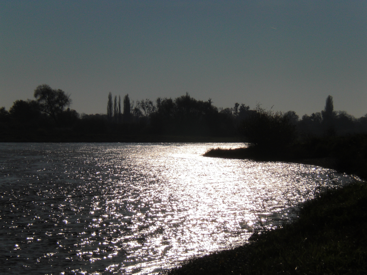 Vormittag an der Elbe