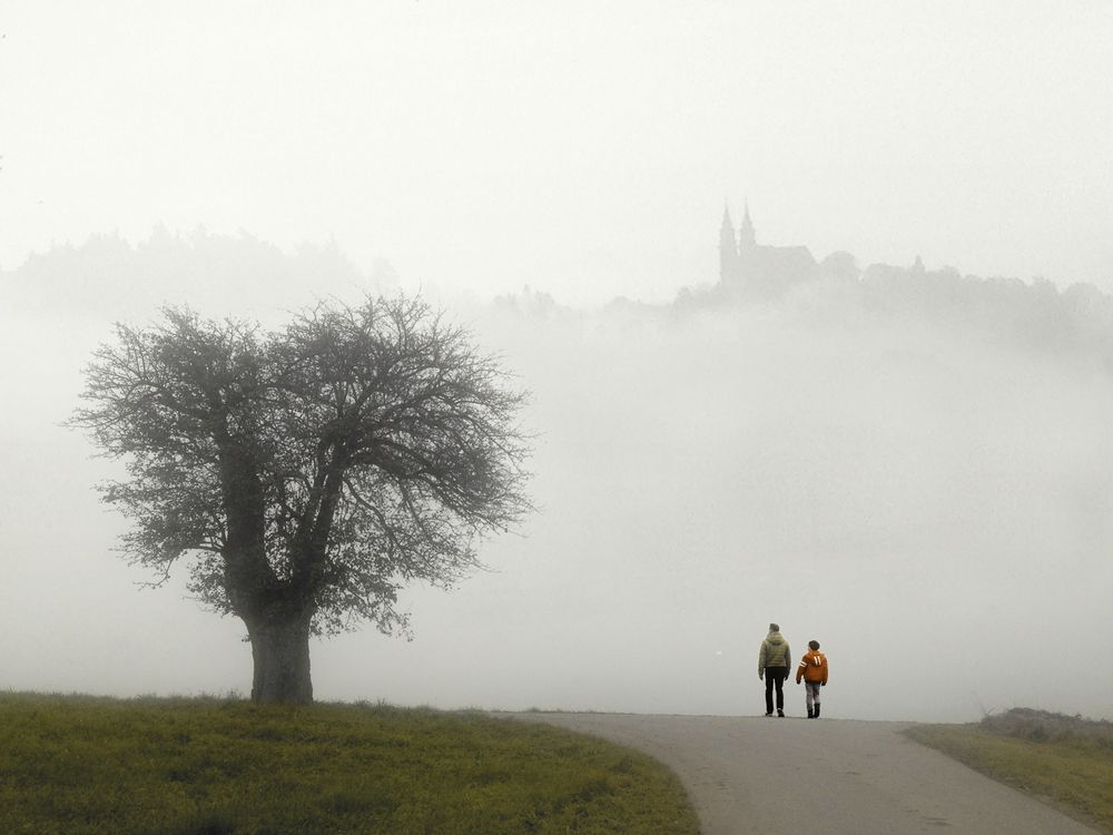 Vormittag Nebel!