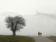 Vormittag Nebel!