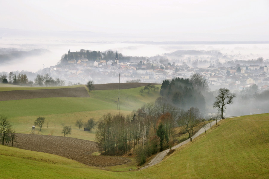 Vormittag Nebel - Mittag Ganslbraten - jetzt Mittagsschläfchen !